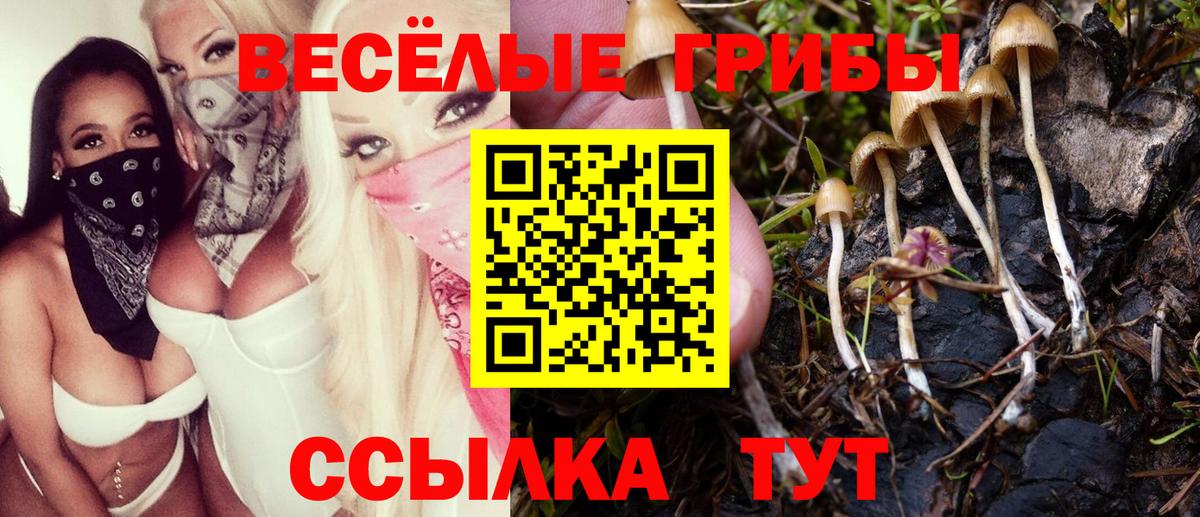 Лабытнанги  Галлюциногенные грибы MAGIC MUSHROOMS  Вход с VPN 